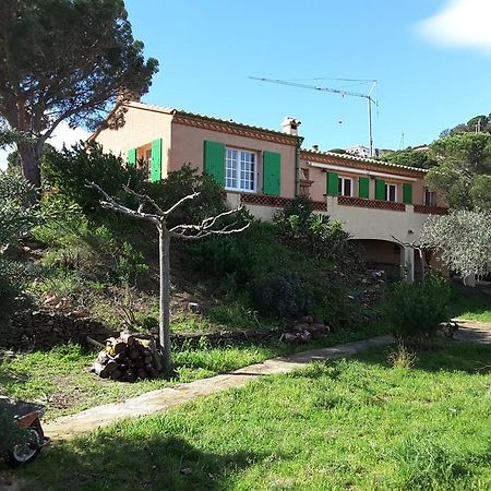 Villa Superbe Vue Sur Mer Et Sur La Montagne Jardin Terrasses Banyuls-sur-Mer Zewnętrze zdjęcie