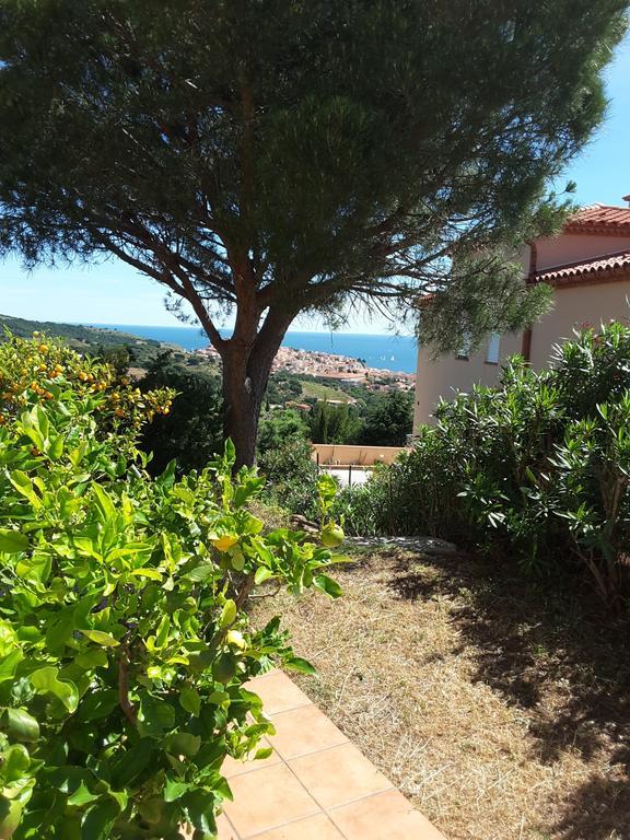 Villa Superbe Vue Sur Mer Et Sur La Montagne Jardin Terrasses Banyuls-sur-Mer Zewnętrze zdjęcie