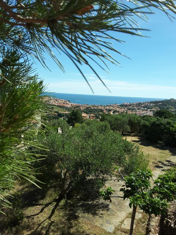 Villa Superbe Vue Sur Mer Et Sur La Montagne Jardin Terrasses Banyuls-sur-Mer Zewnętrze zdjęcie