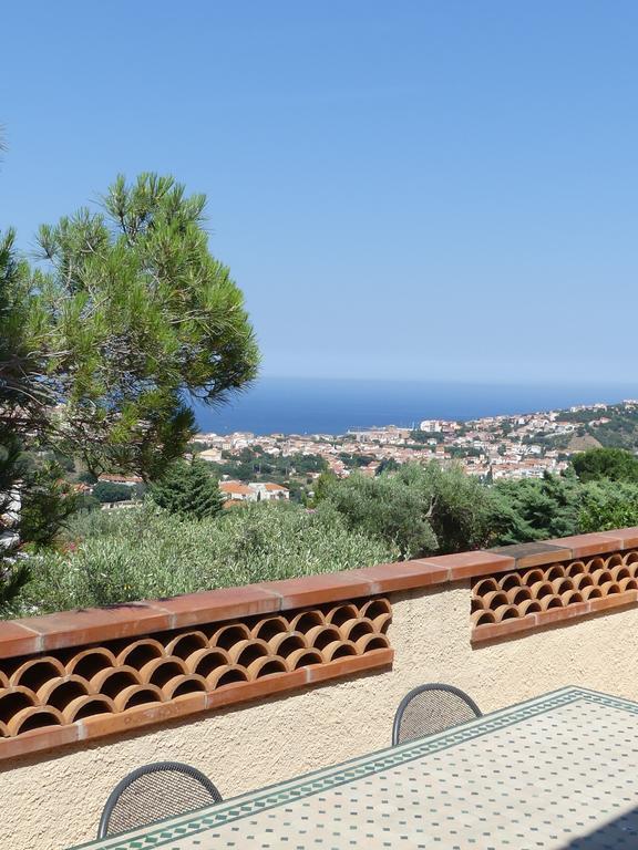 Villa Superbe Vue Sur Mer Et Sur La Montagne Jardin Terrasses Banyuls-sur-Mer Zewnętrze zdjęcie
