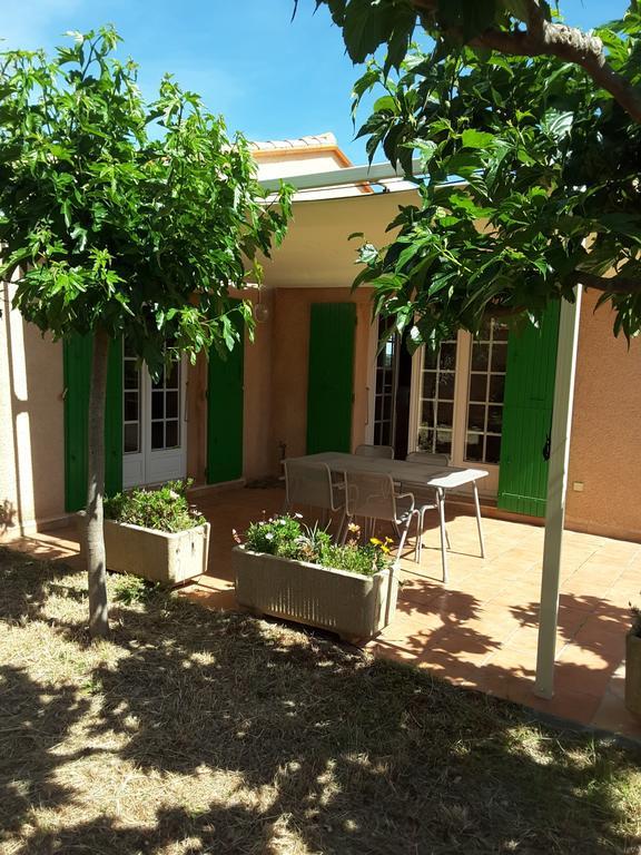 Villa Superbe Vue Sur Mer Et Sur La Montagne Jardin Terrasses Banyuls-sur-Mer Zewnętrze zdjęcie